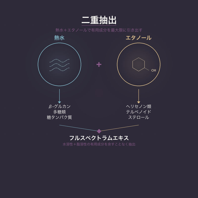 二重抽出プロセス