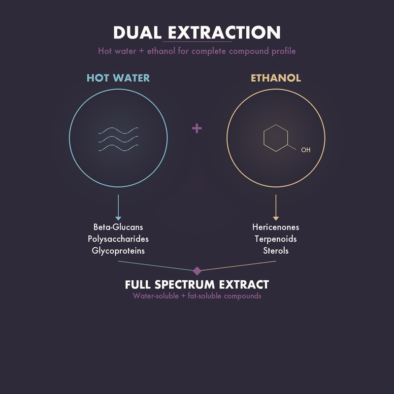 Dual Extraction Process