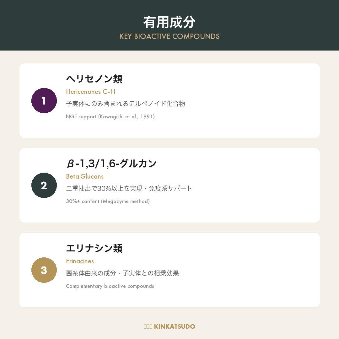 Key Bioactive Compounds - Hericenones, Beta-Glucans, Erinacines